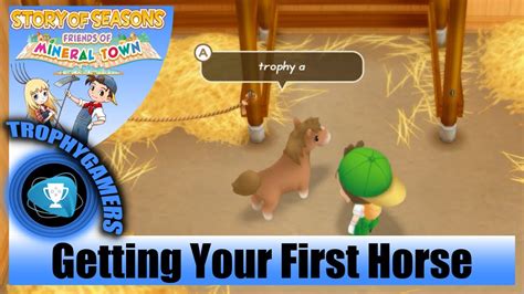 Story of Seasons: Friends of Mineral Town – Getting Your First .